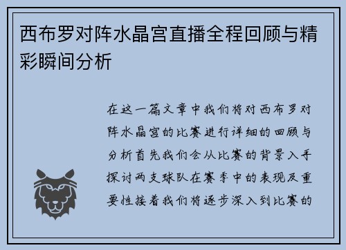 西布罗对阵水晶宫直播全程回顾与精彩瞬间分析