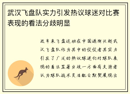 武汉飞盘队实力引发热议球迷对比赛表现的看法分歧明显