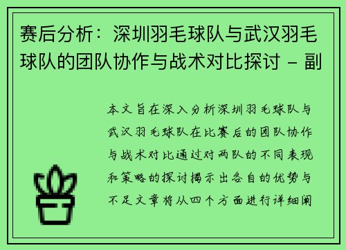 赛后分析：深圳羽毛球队与武汉羽毛球队的团队协作与战术对比探讨 - 副本