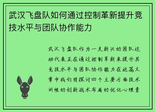 武汉飞盘队如何通过控制革新提升竞技水平与团队协作能力